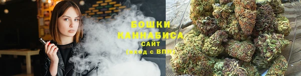 PSILOCYBIN Приозерск