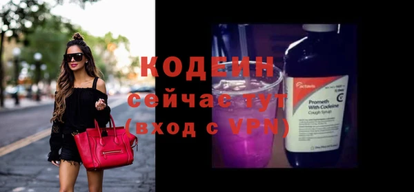 2c-b Ельня