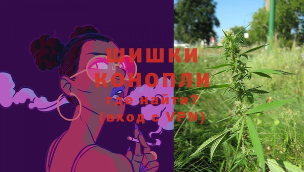 2c-b Ельня