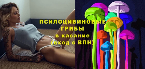 стафф Елабуга