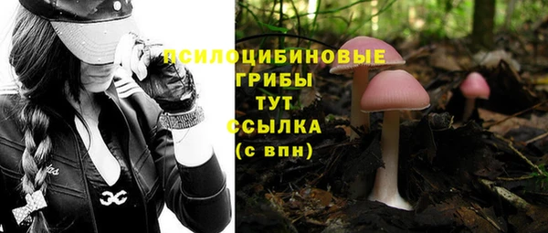 2c-b Ельня