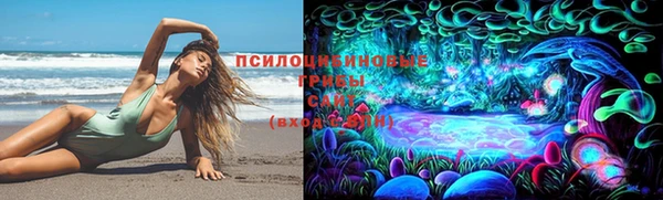 PSILOCYBIN Приозерск