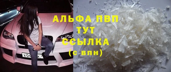 2c-b Ельня