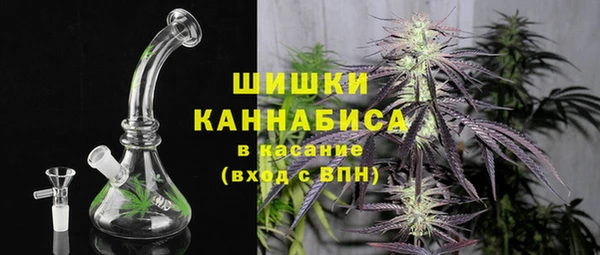2c-b Ельня