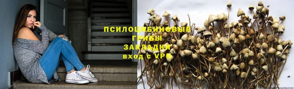 спиды Елизово