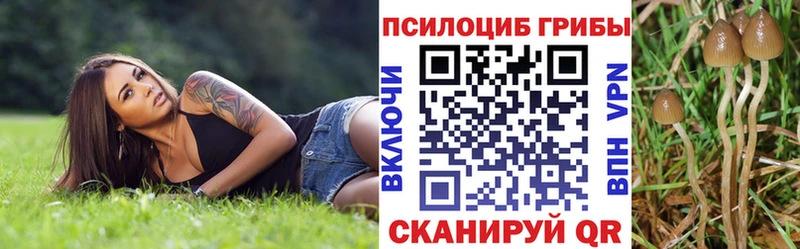 Псилоцибиновые грибы GOLDEN TEACHER  Купить закладки  Калининск 